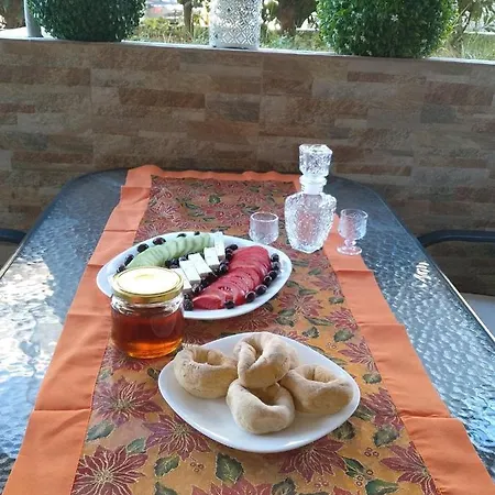 Elena's House